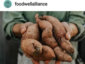 Food Well Alliance 2019 Grant Recipient A huge thank you to Food Well Alliance for accepting our application for their Local Food Grant!!! The $5700 we asked for will go towards some very high efficiency hand tools. Our project is aimed at meeting our financial goals as well as donating 3,750 lbs. of food to our local food pantry next year.