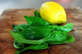 citrus basil bunch.jpg