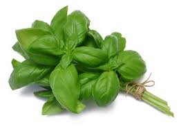 Genovese Basil Bunch.jpg