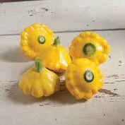 PattyPan.jpg