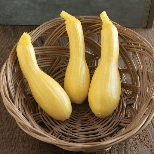 Summer Squash (Goldfinch).png