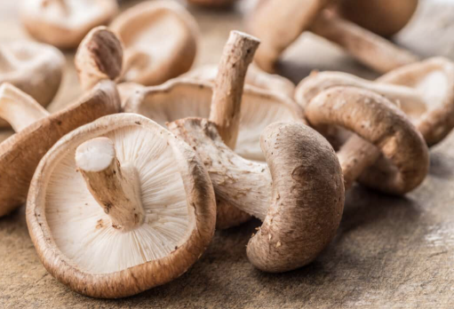 shiitake.png