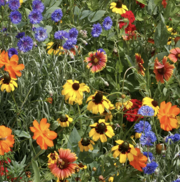 Screenshot 2026-03-18 at 6.48.28 PM.png