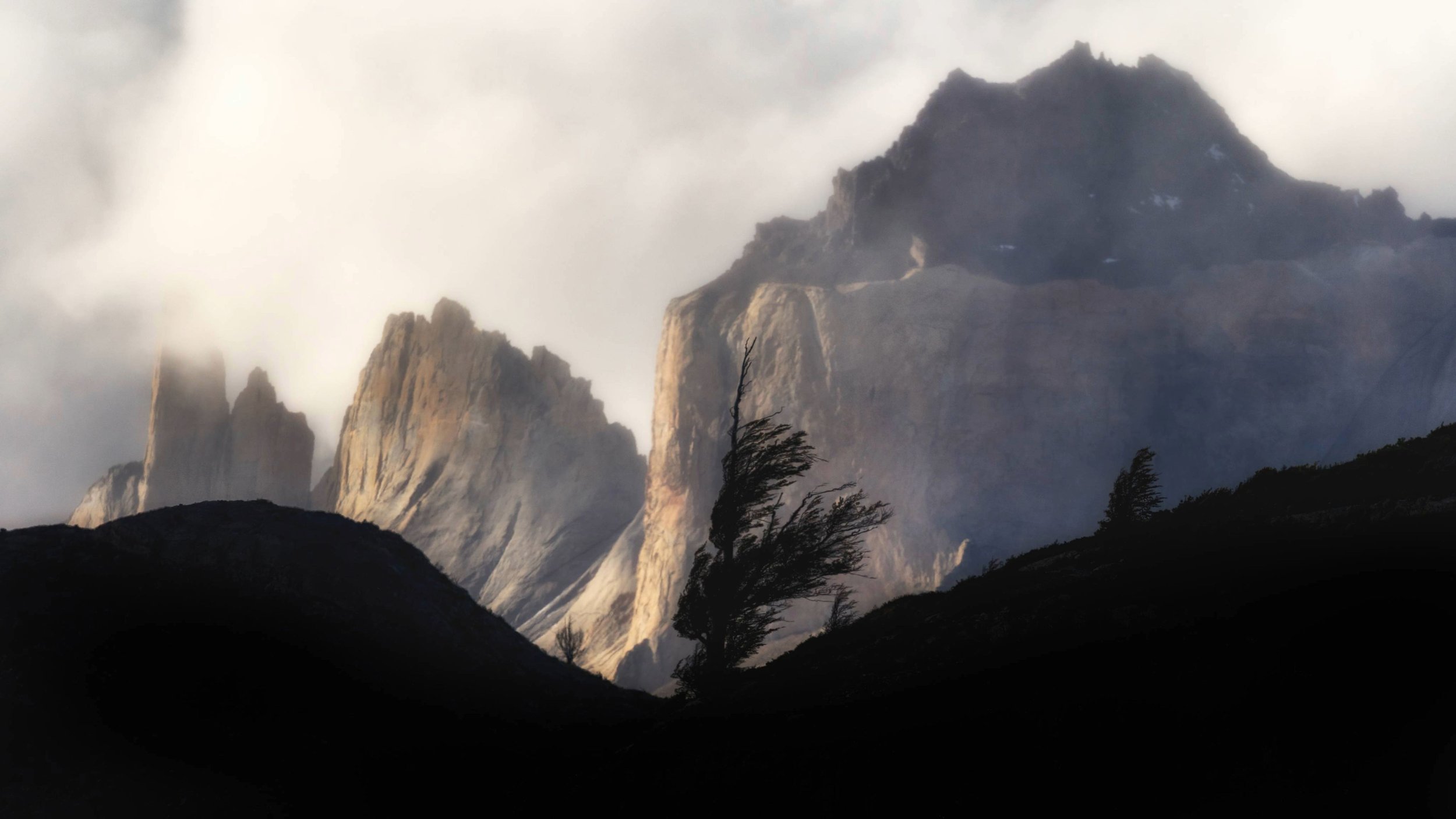 Windy Patagonia with lone tree