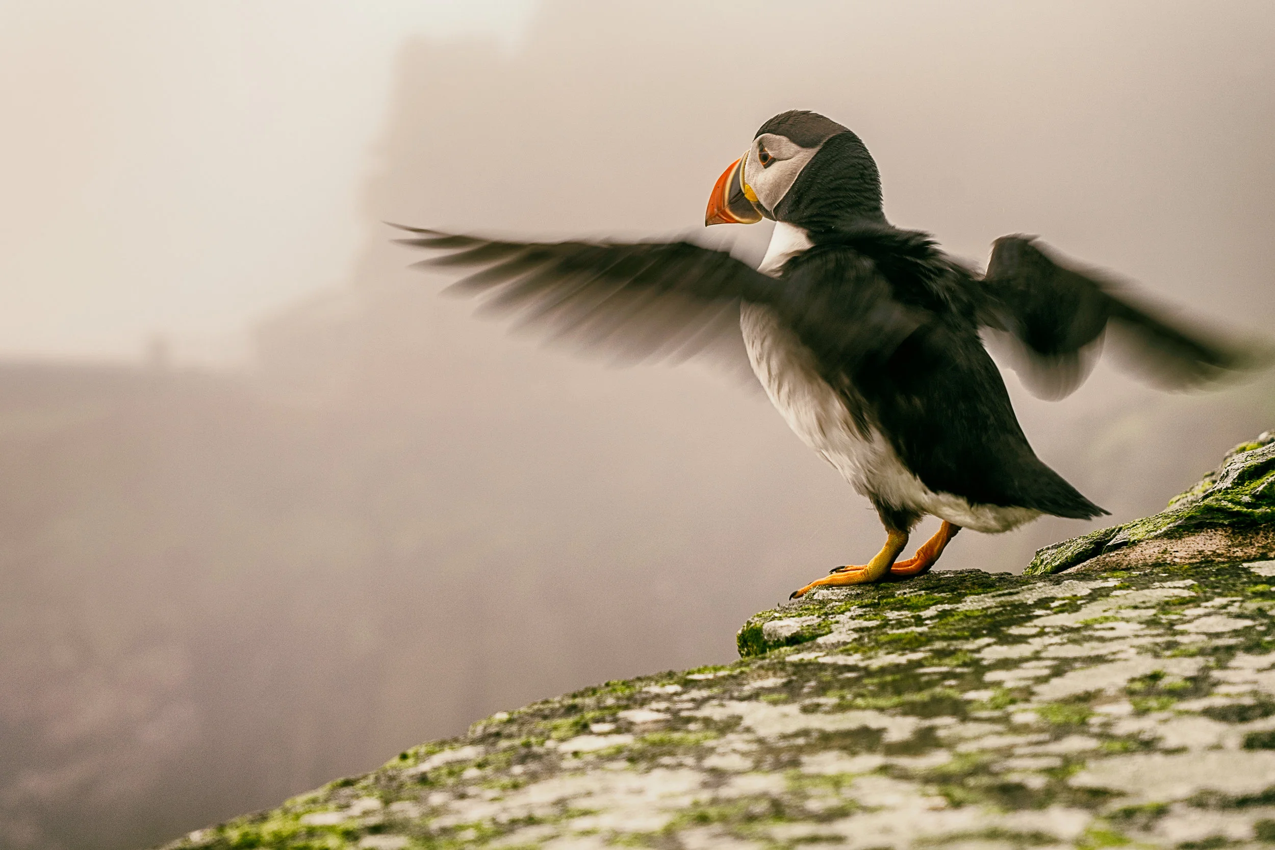Skellig Michael from below