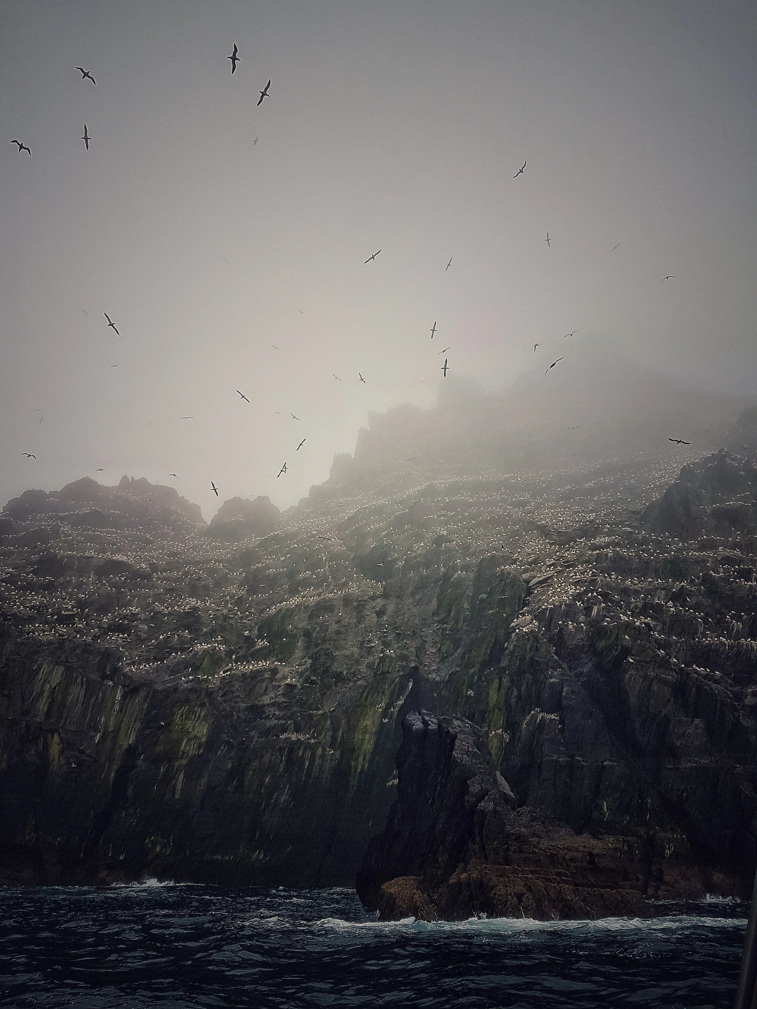 Skellig Islands Boat Trip