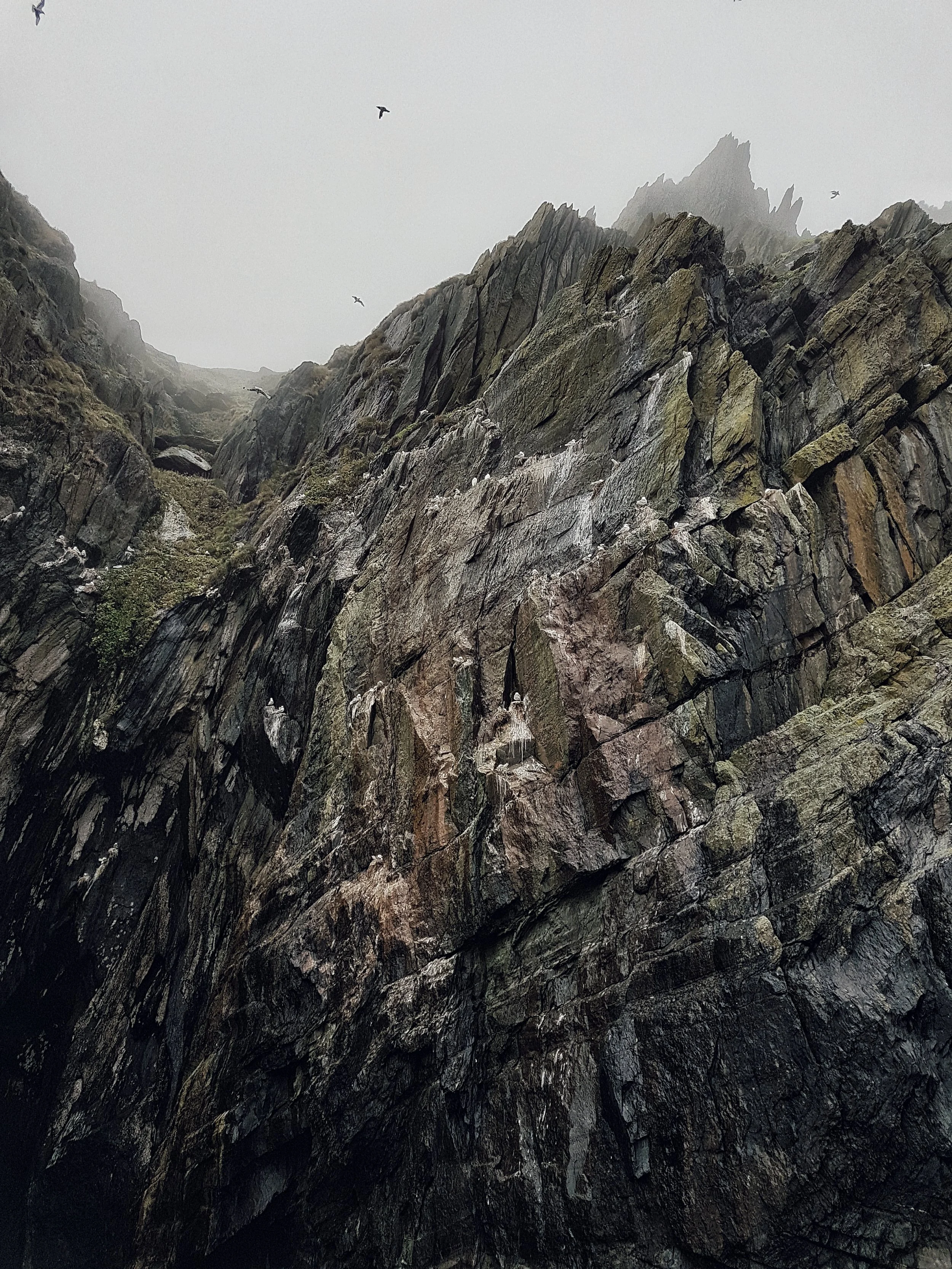 Cliffs of Skellig Michael