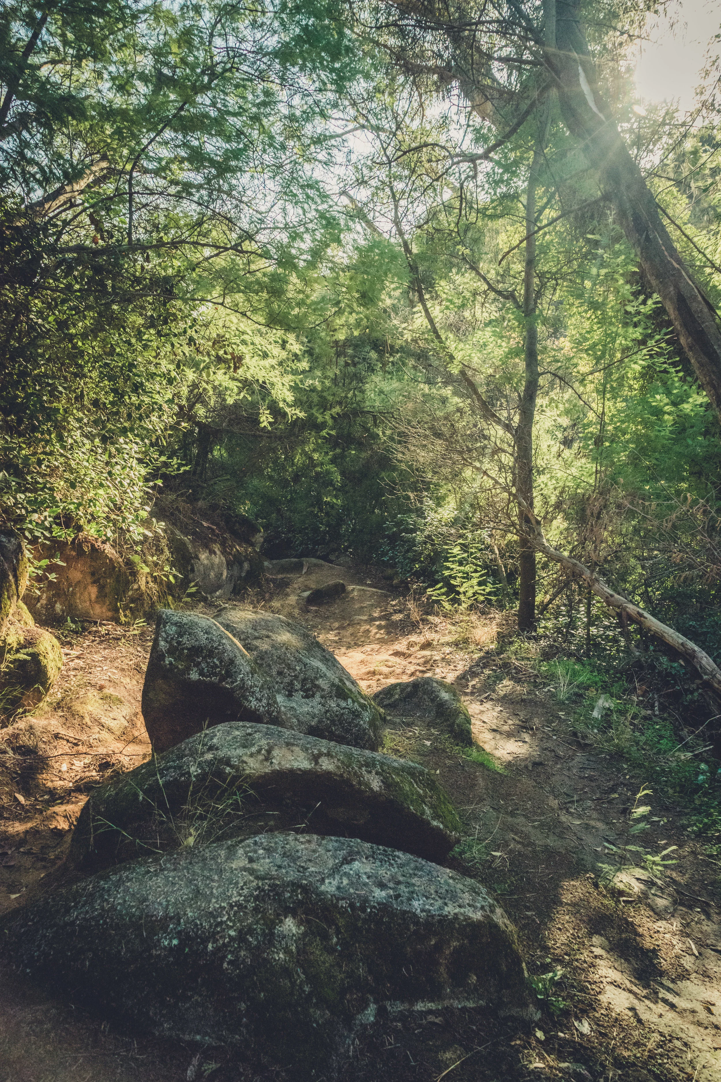 caldas de monchique portugal. walking through the forest. walking through the grounds of the spa. lovely setting. rocks on the path.jpg