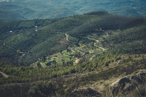 Looking into the valley