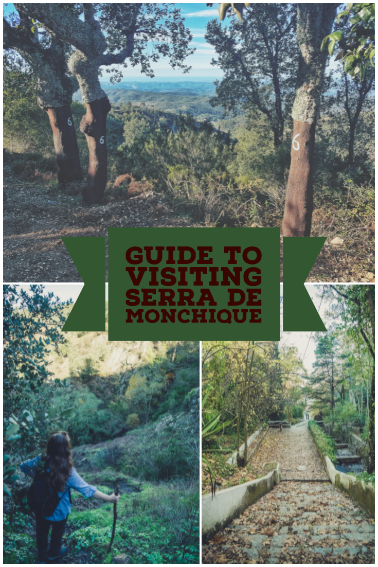 Road Trip to Serra de Monchique.jpg