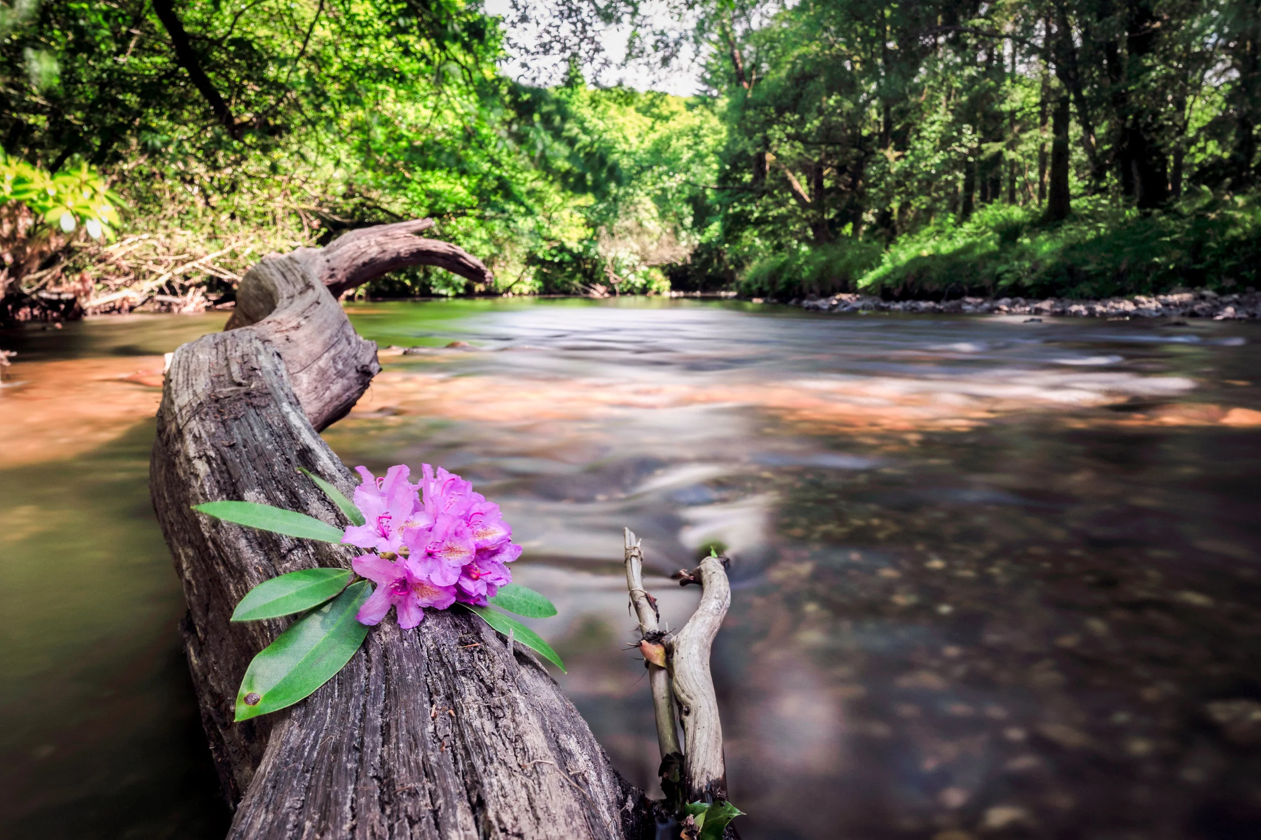 Don't miss this stunning hidden gem in the Garden of Ireland
