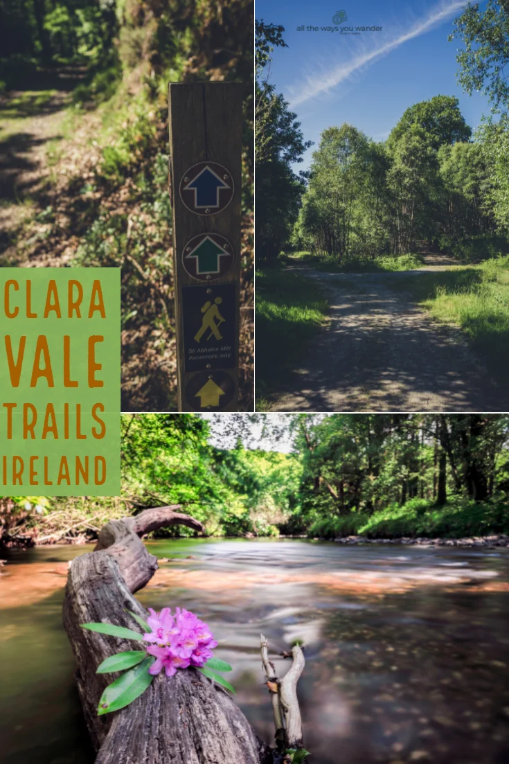 Clara Vale Walks.jpg