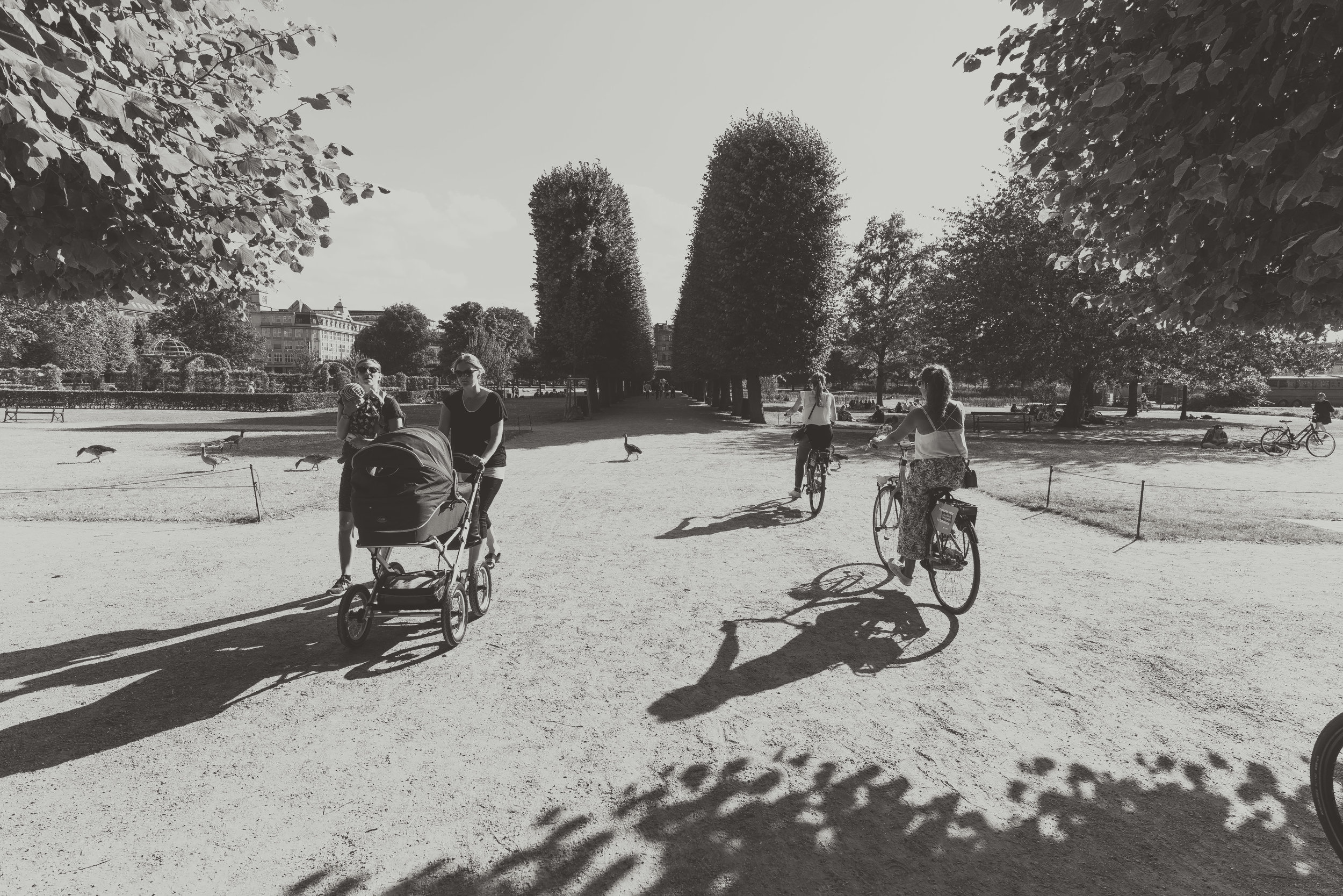 copenhagen. denmark. travel. adventure. europe. scandinavia. history. travelblog. kings park..jpg