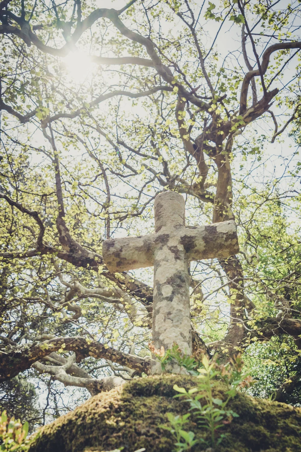 Portugal. Travel. Sintra. Sunshine. Hotel. History. view. room with a view. pena palace.  palace. town. old town. castle. castelo dos mouros. cross..jpg