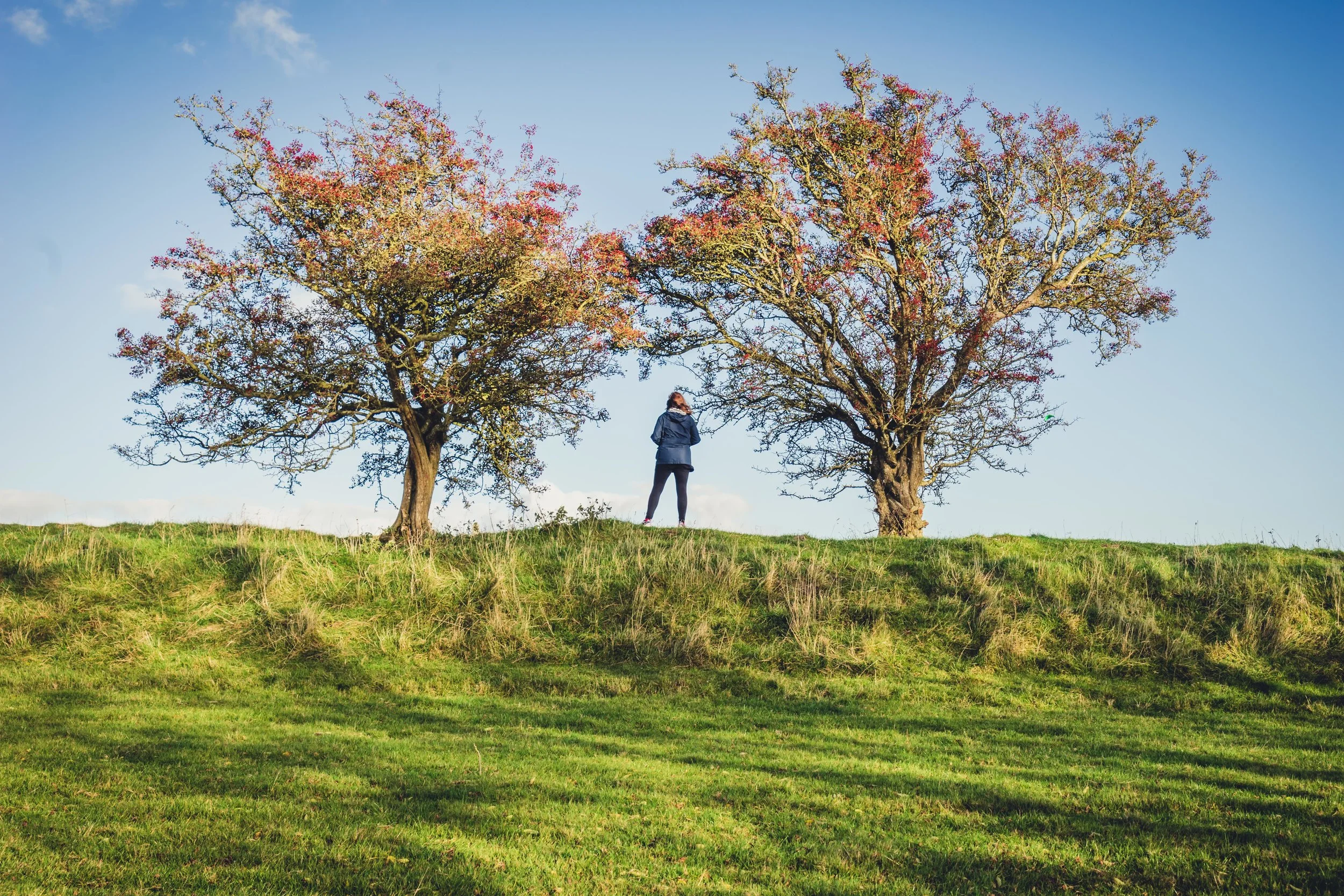 Hill of tara. ireland. history. irish. golden light. travel. blog. autumn. colour. celtic. gaelic. between the trees..jpg