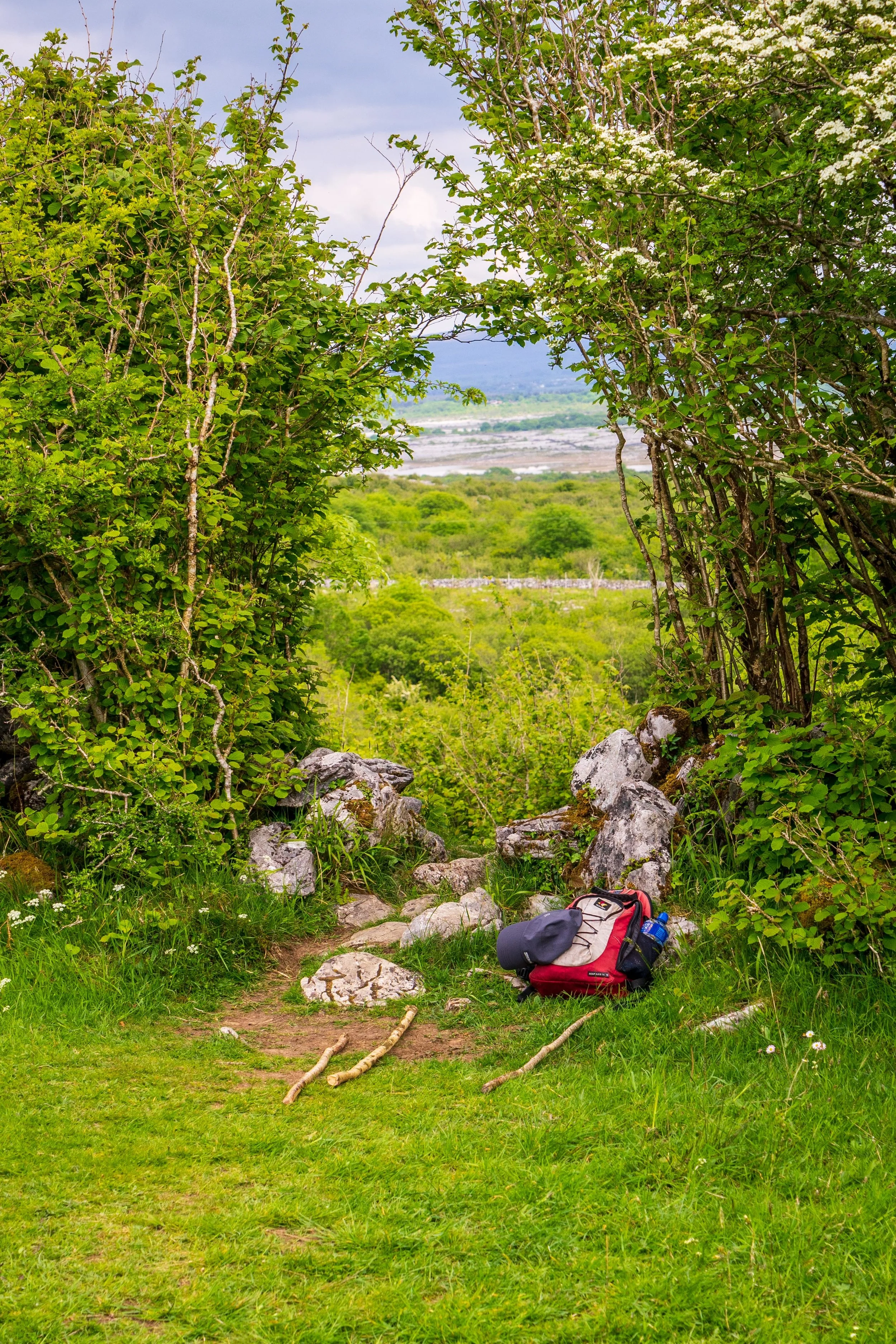 #Spring is the best time to see #wildflowers bloom in the Burren #Ireland | all the ways you wander | #nature #travel