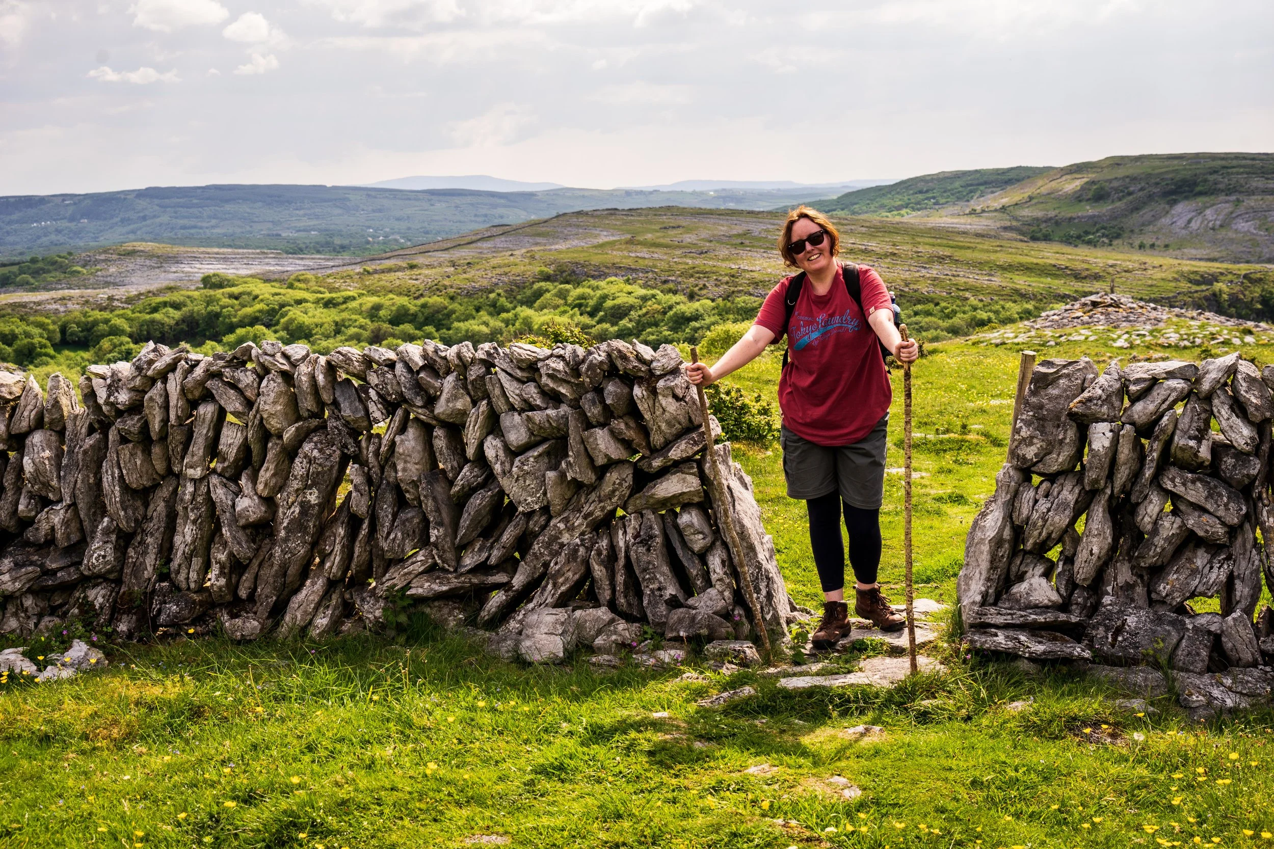 #Spring is the best time to see #wildflowers bloom in Burren National Park, Ireland. Visit in May for a spectacular display of colour and sunshine #ireland #travel #photography #offseason #nature