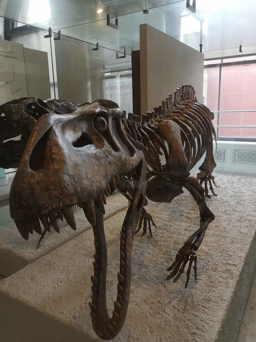 Any trip to New York includes seeing some of the major sights in Manhattan. Save money with the New York CityPASS and plan more time for the museums #newyork #manhattan #traveltips #waysyouwander