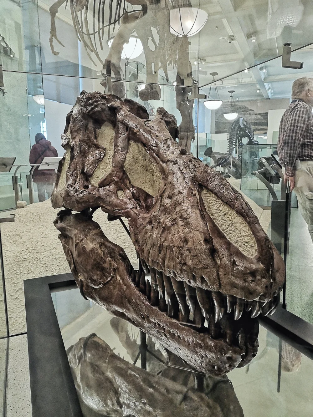 Any trip to New York includes seeing some of the major sights in Manhattan. Save money with the New York CityPASS and plan more time for the museums #newyork #manhattan #traveltips #waysyouwander