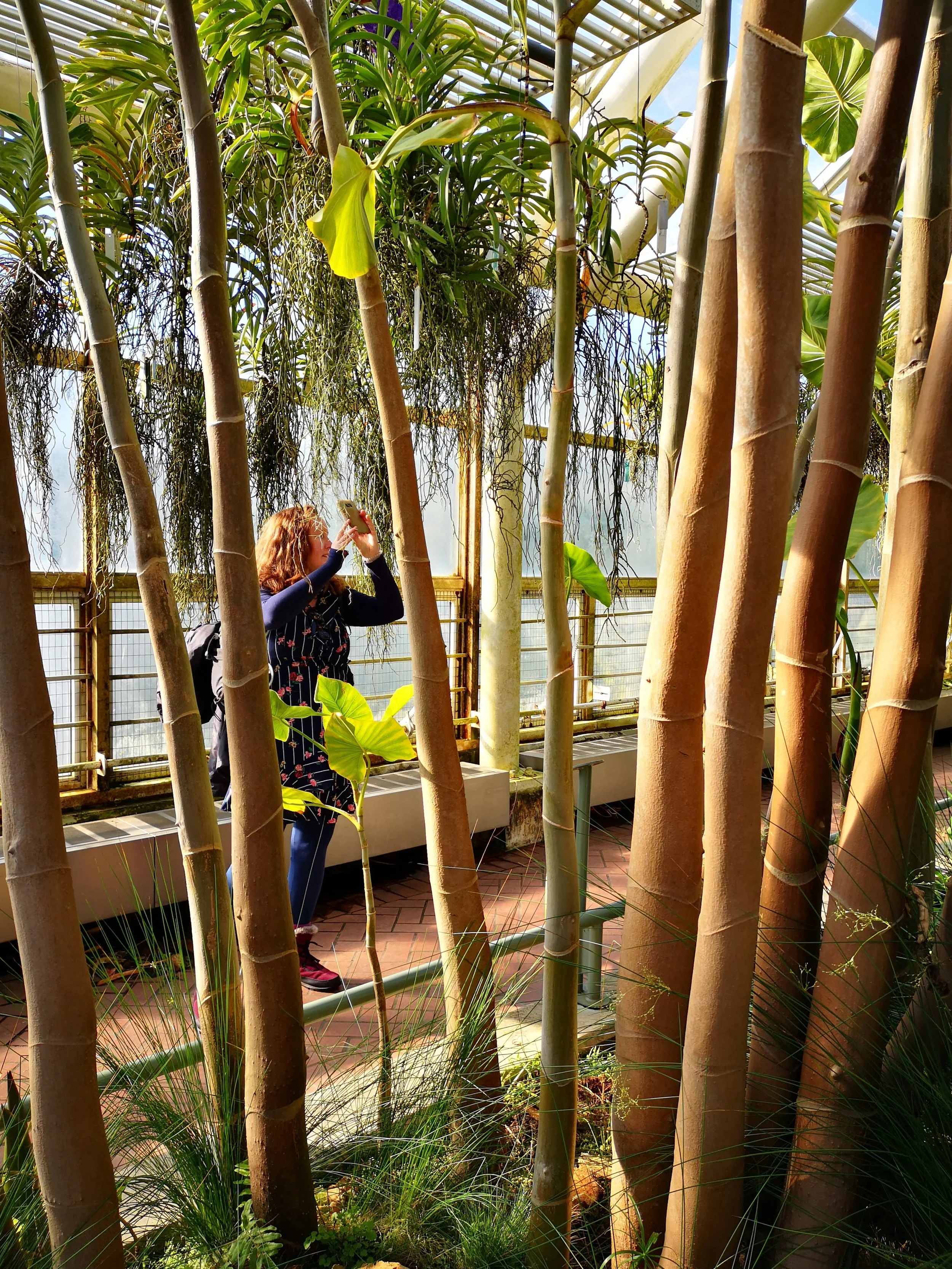 Orla in brooklyn botanical garden.jpg