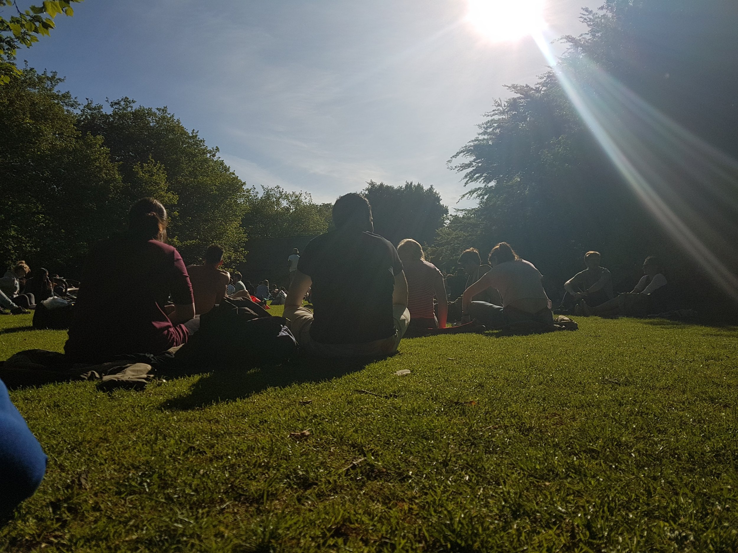 Picnic in St. Stephen's Green Park Dublin.jpg