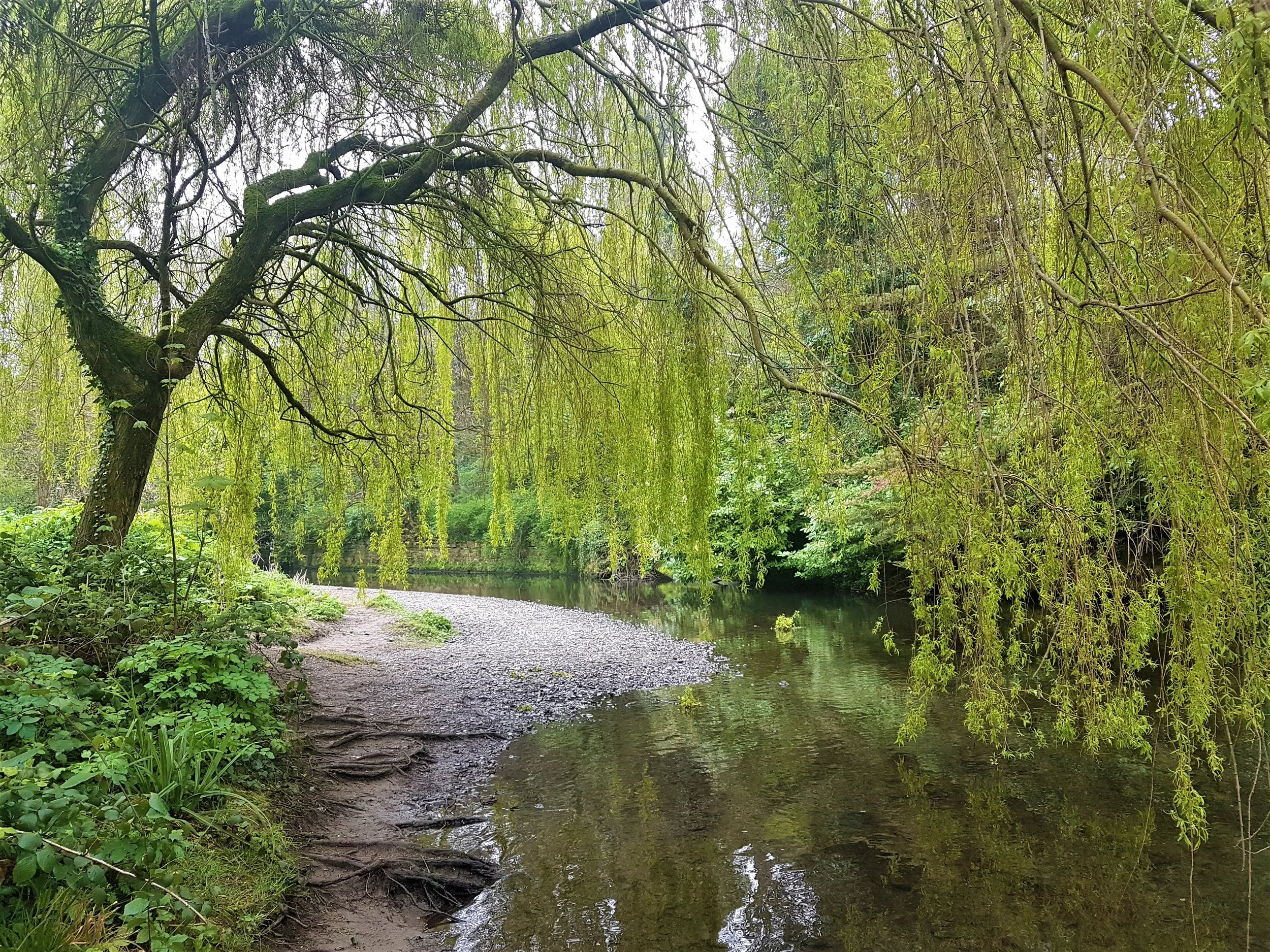 The Dodder Greenway.jpg