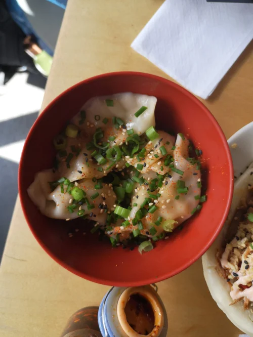Dumplings at Lucky Tortoise