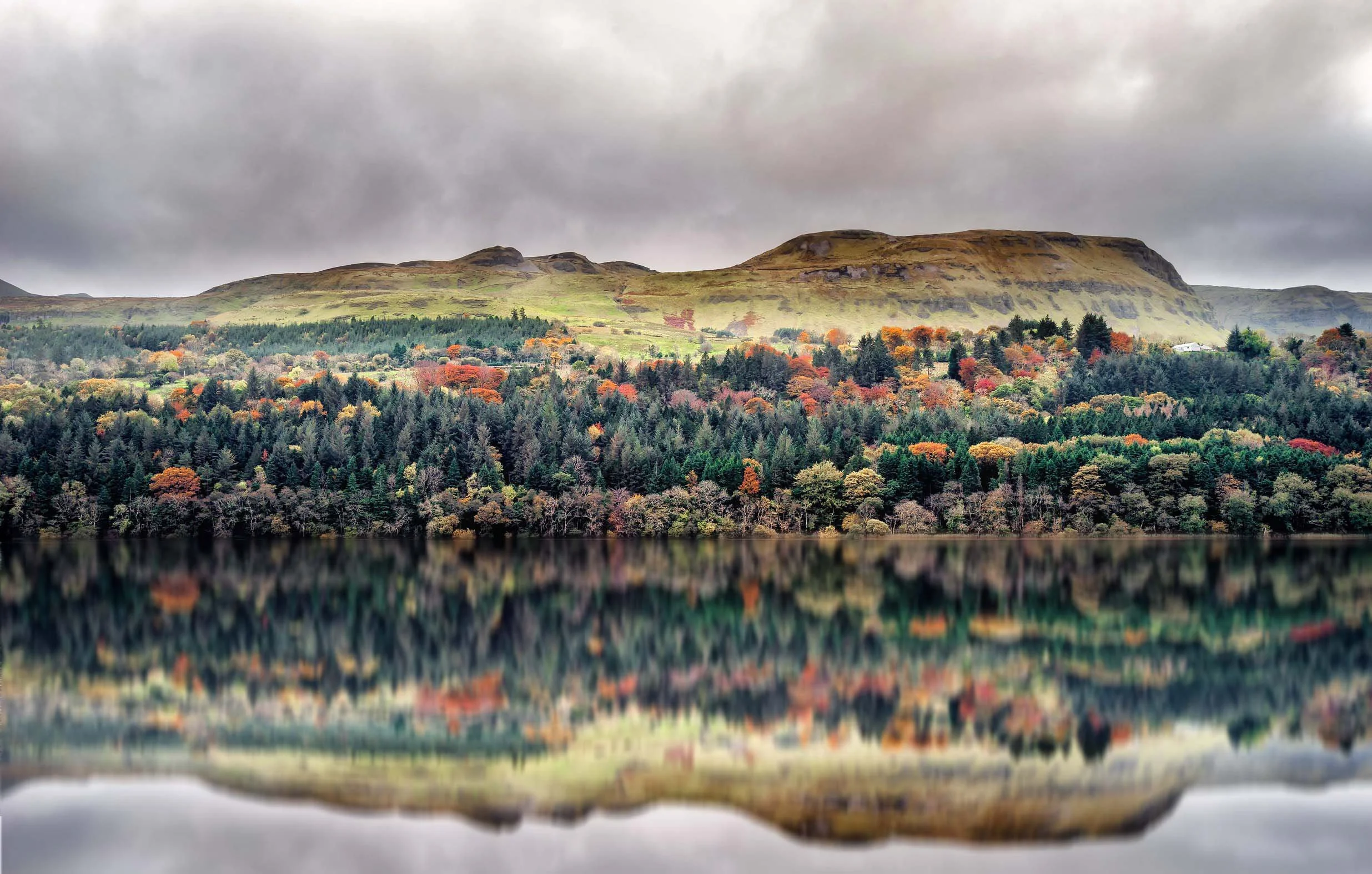 autumn+colours+in+ireland.jpg