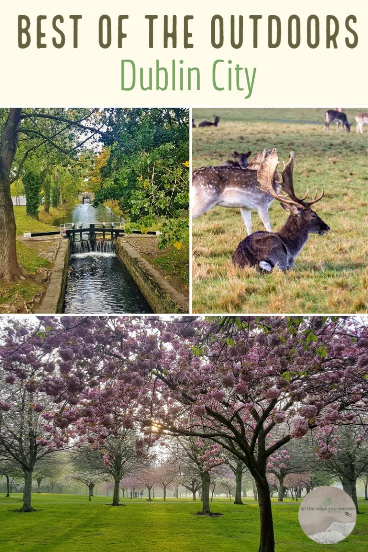 Best green spaces in Dublin City.jpg
