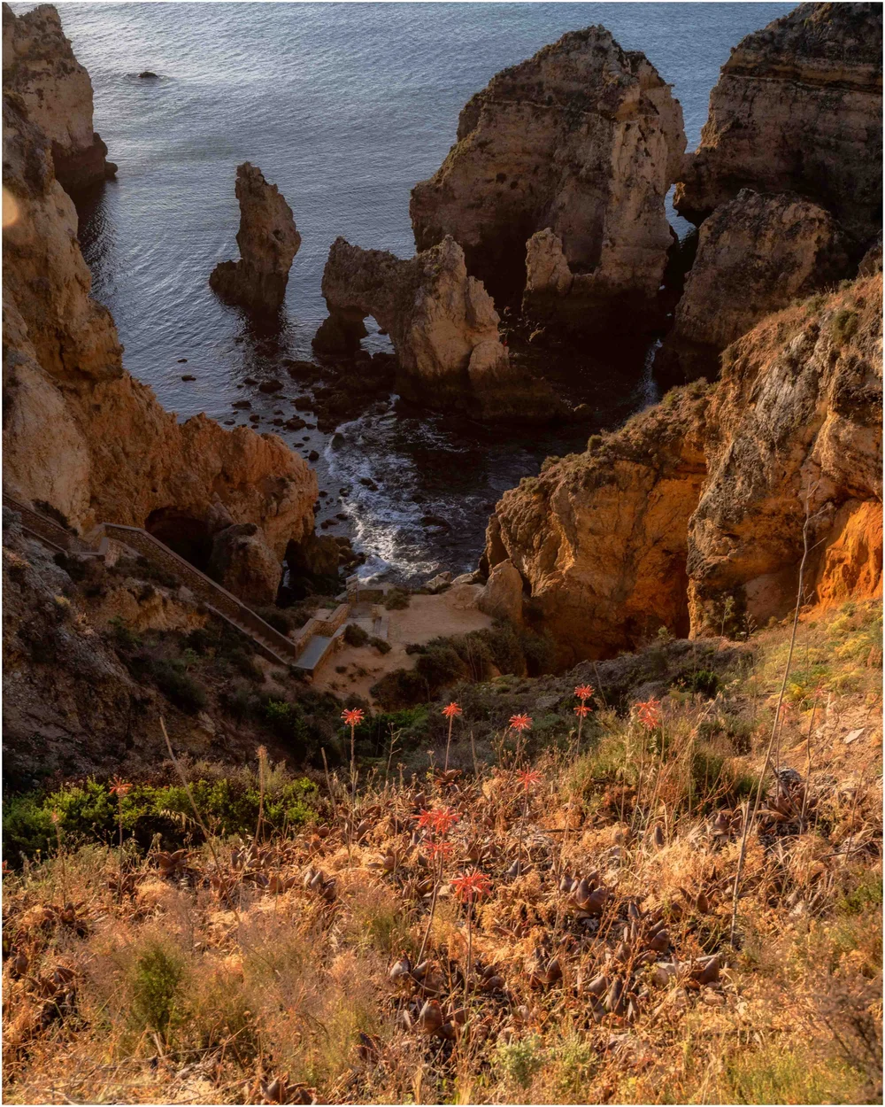 Ponta da Piedade detail