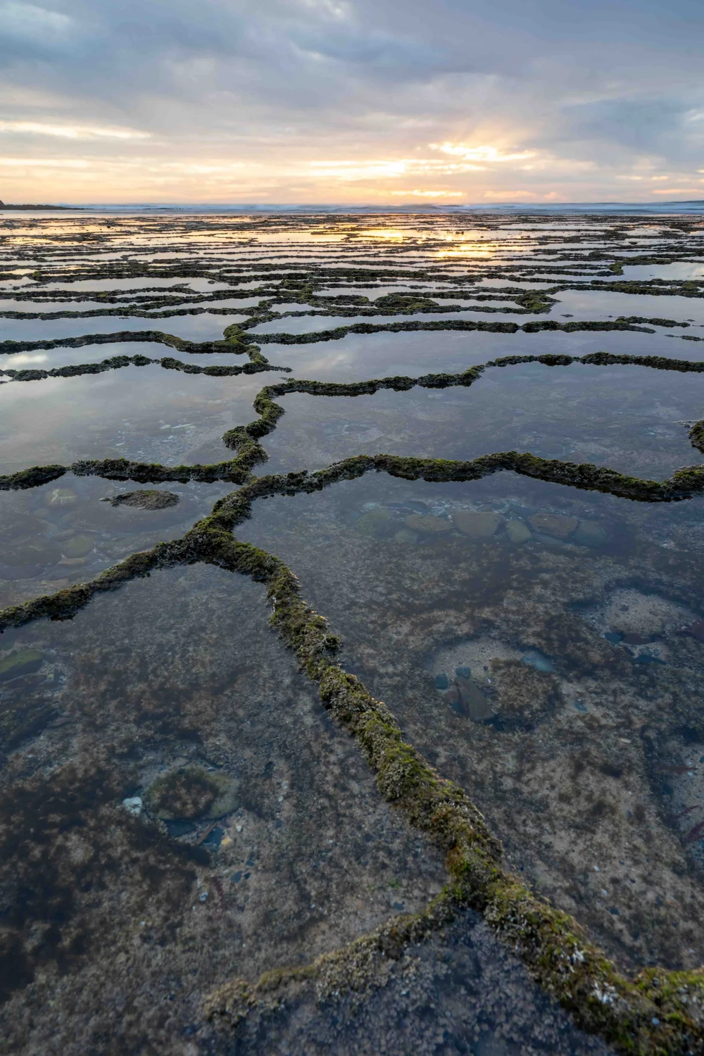 Reflections in the sand at low tide