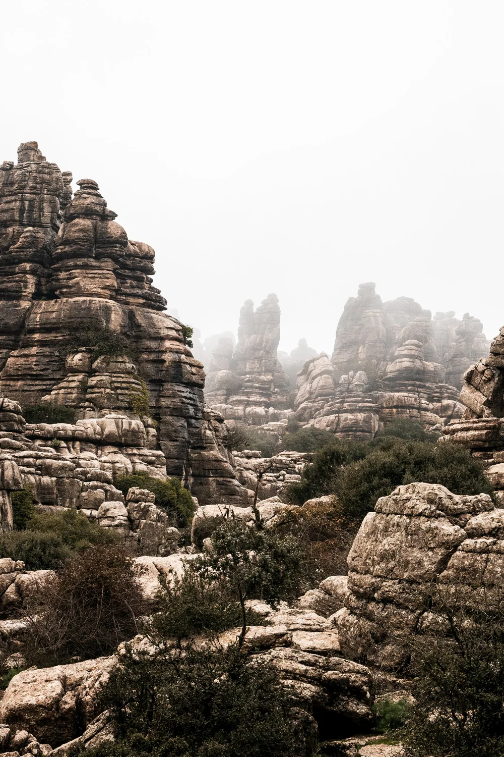 El Torcal in heavy mist and fog