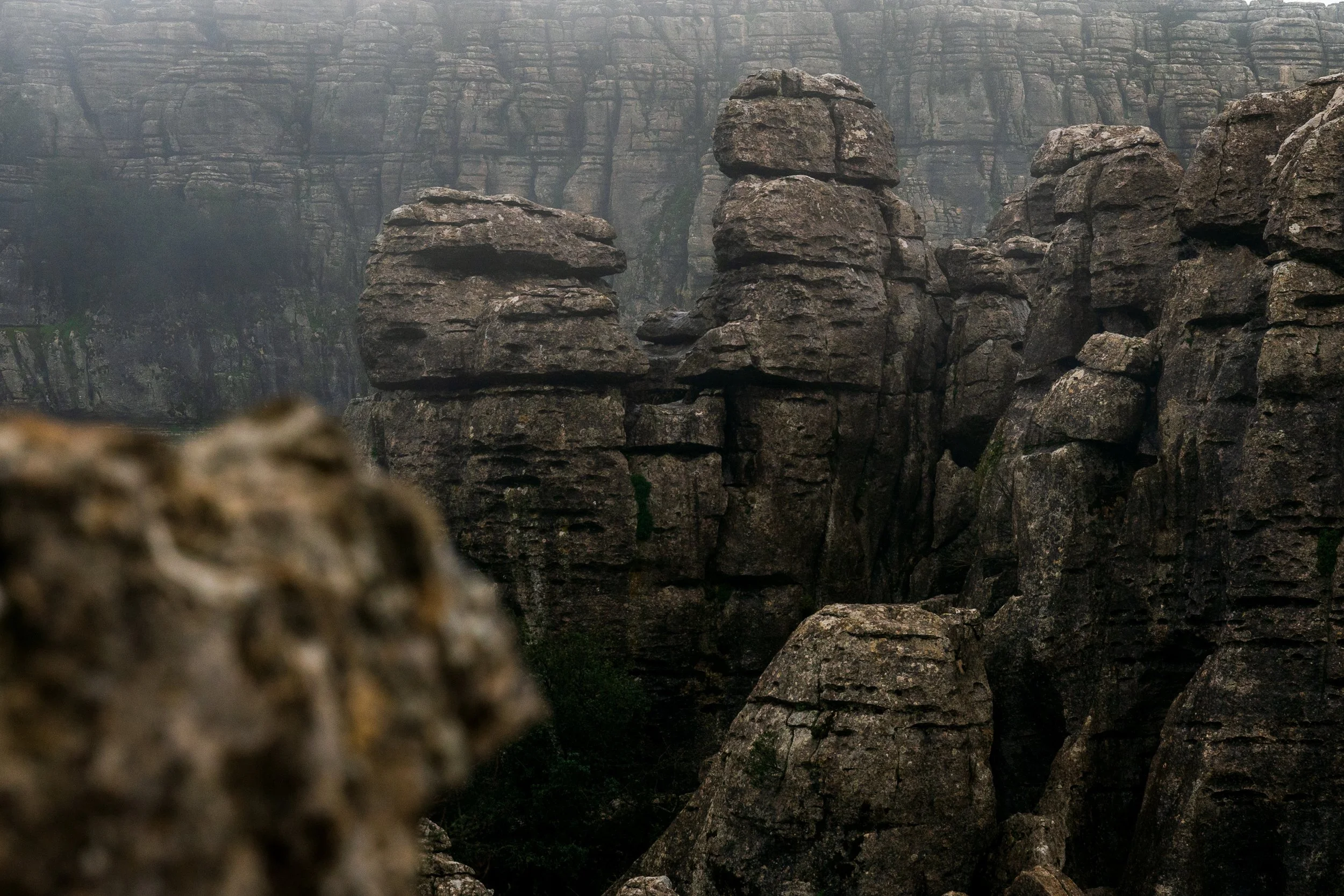 Eerie rock formations emerge from the fog at El Torcal