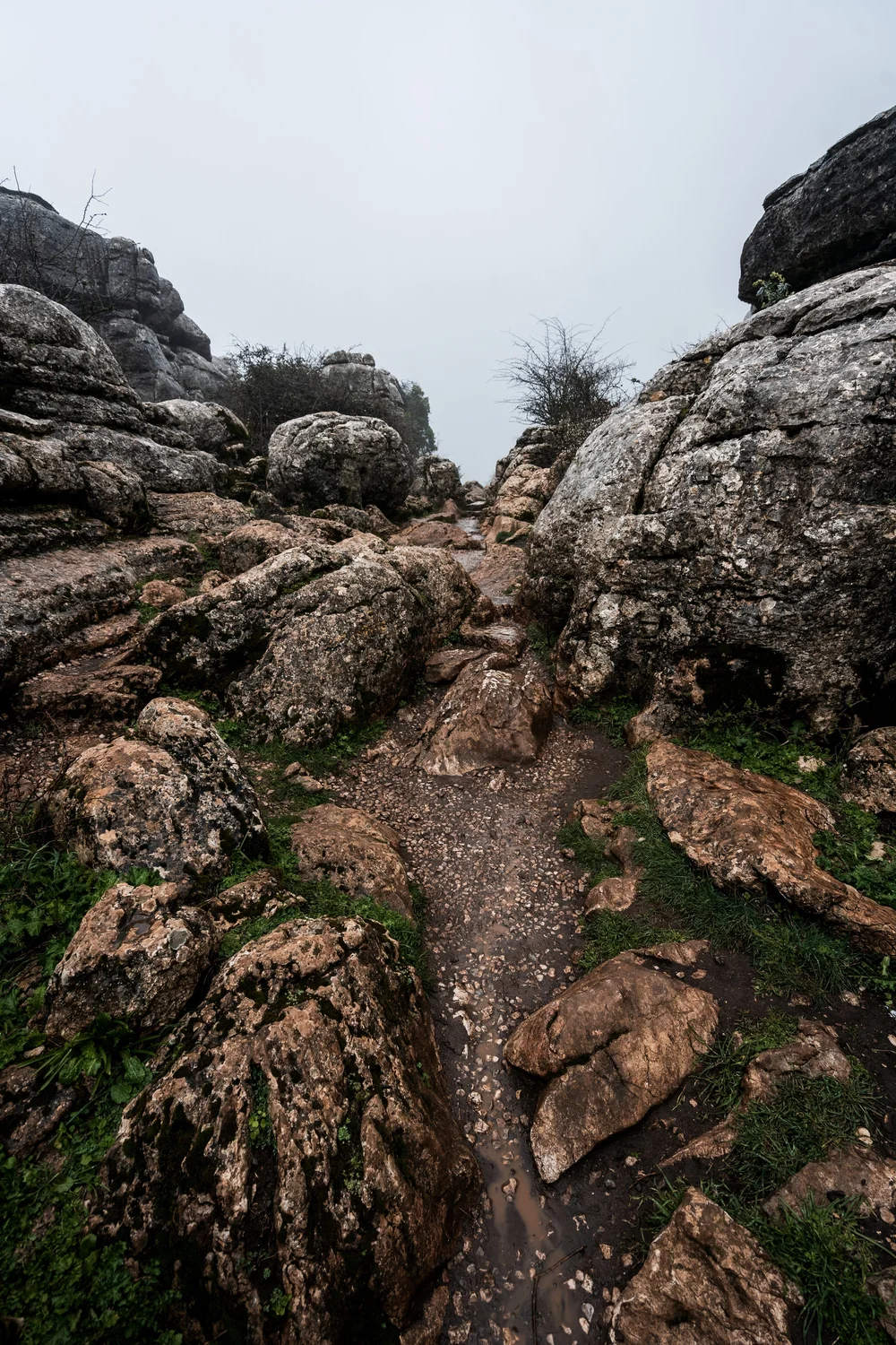 Striking rock formations in El Torcal