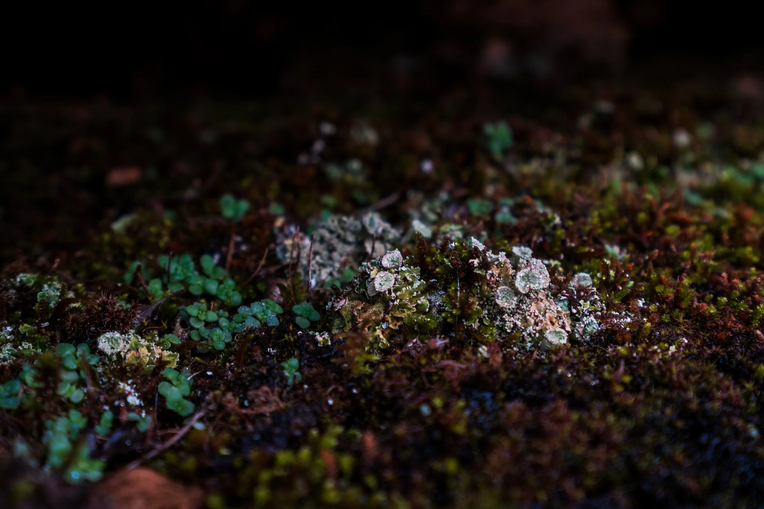 Hiking through foggy rocky landscape