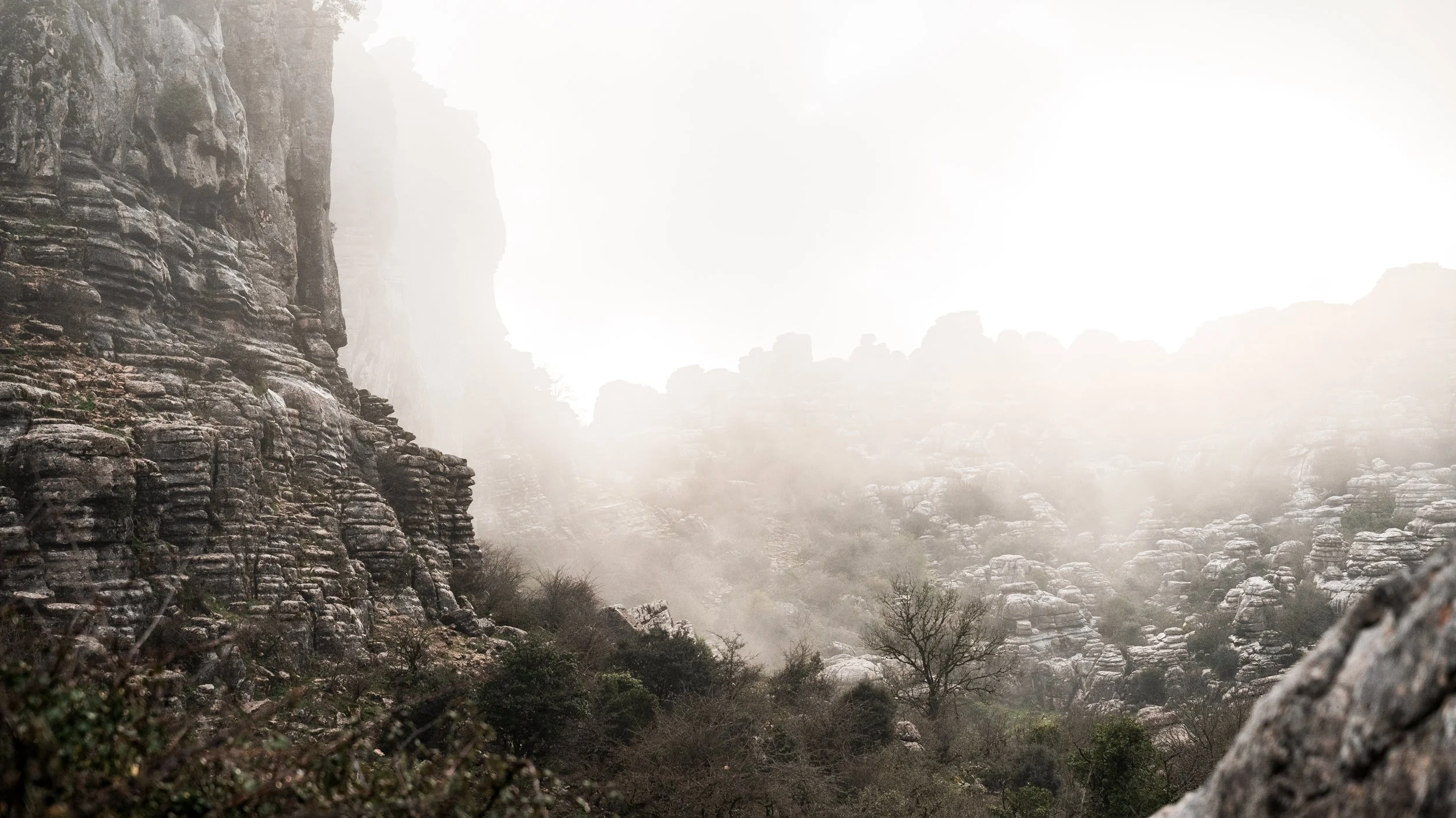Sun-dappled path winds through El Torcal's dramatic landscape