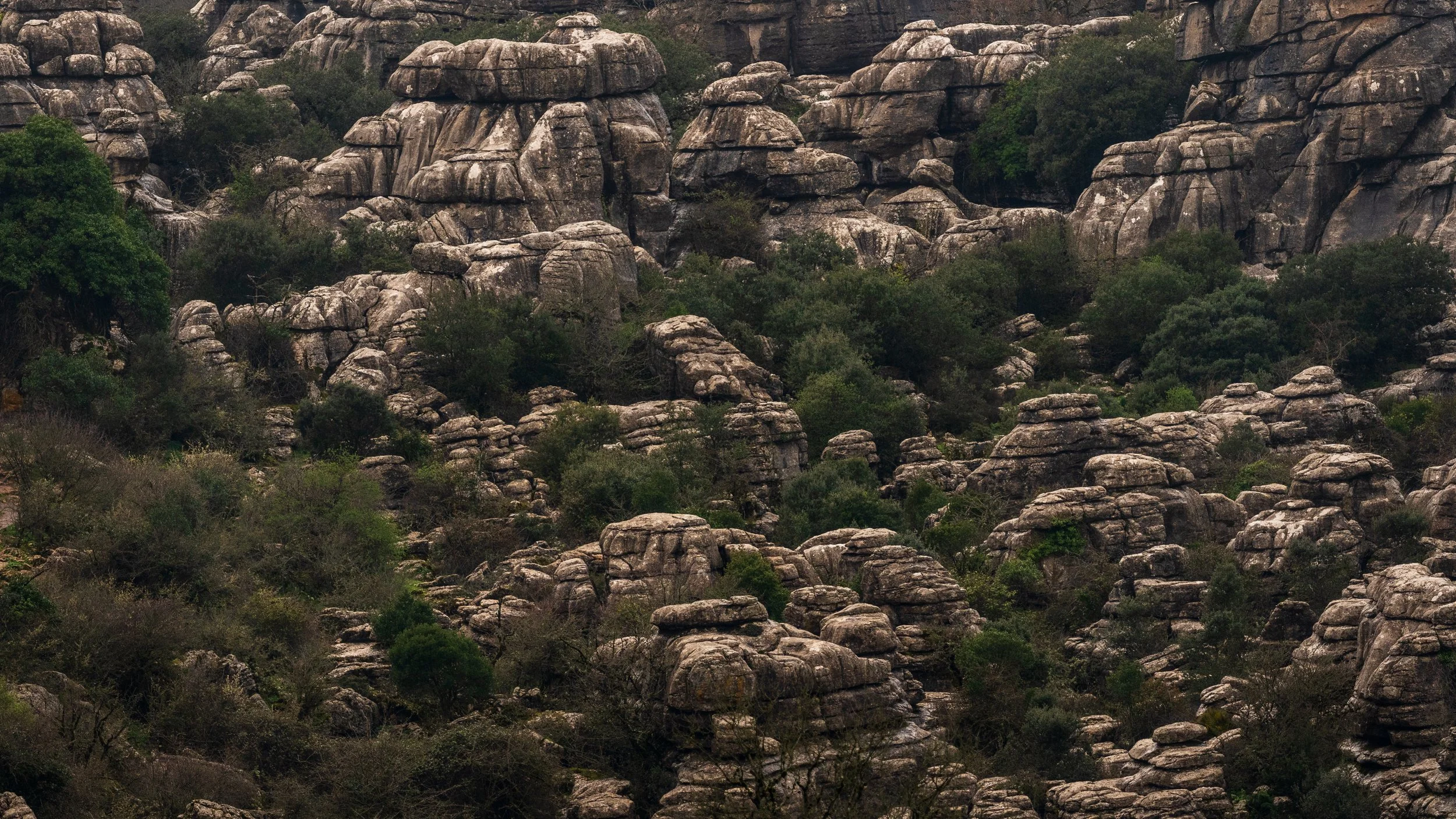 Dramatic rock formations bathed in golden light at El Torcal