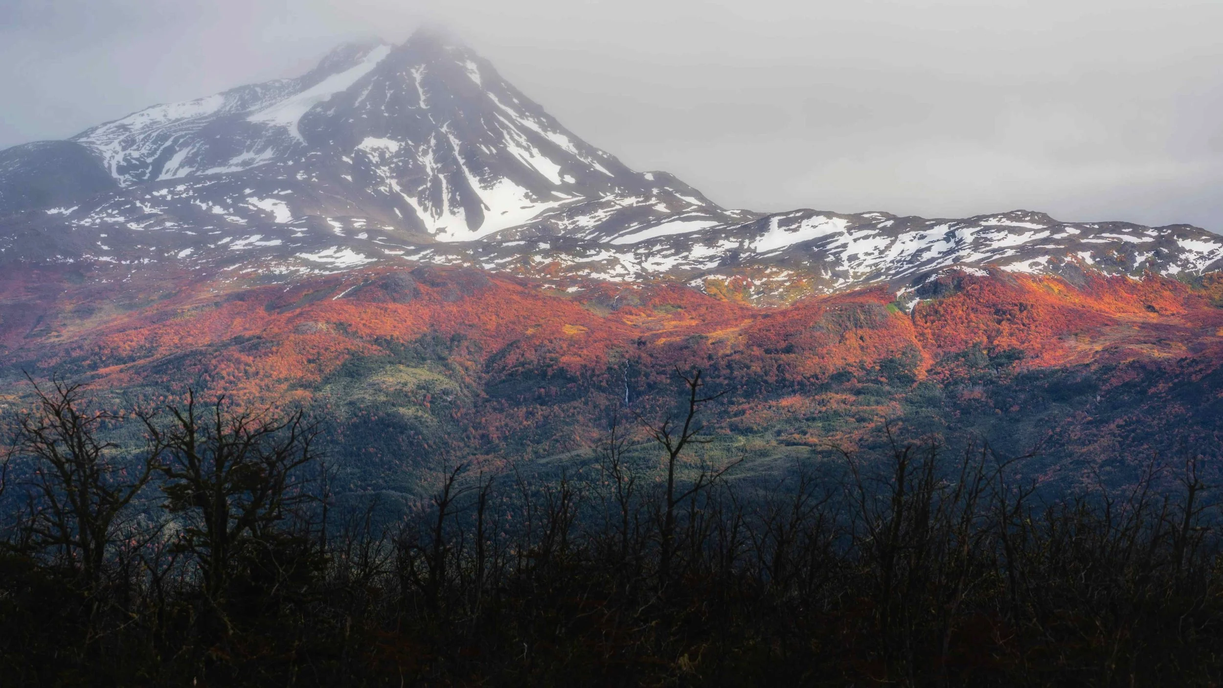 Autumn Colours Patagonia