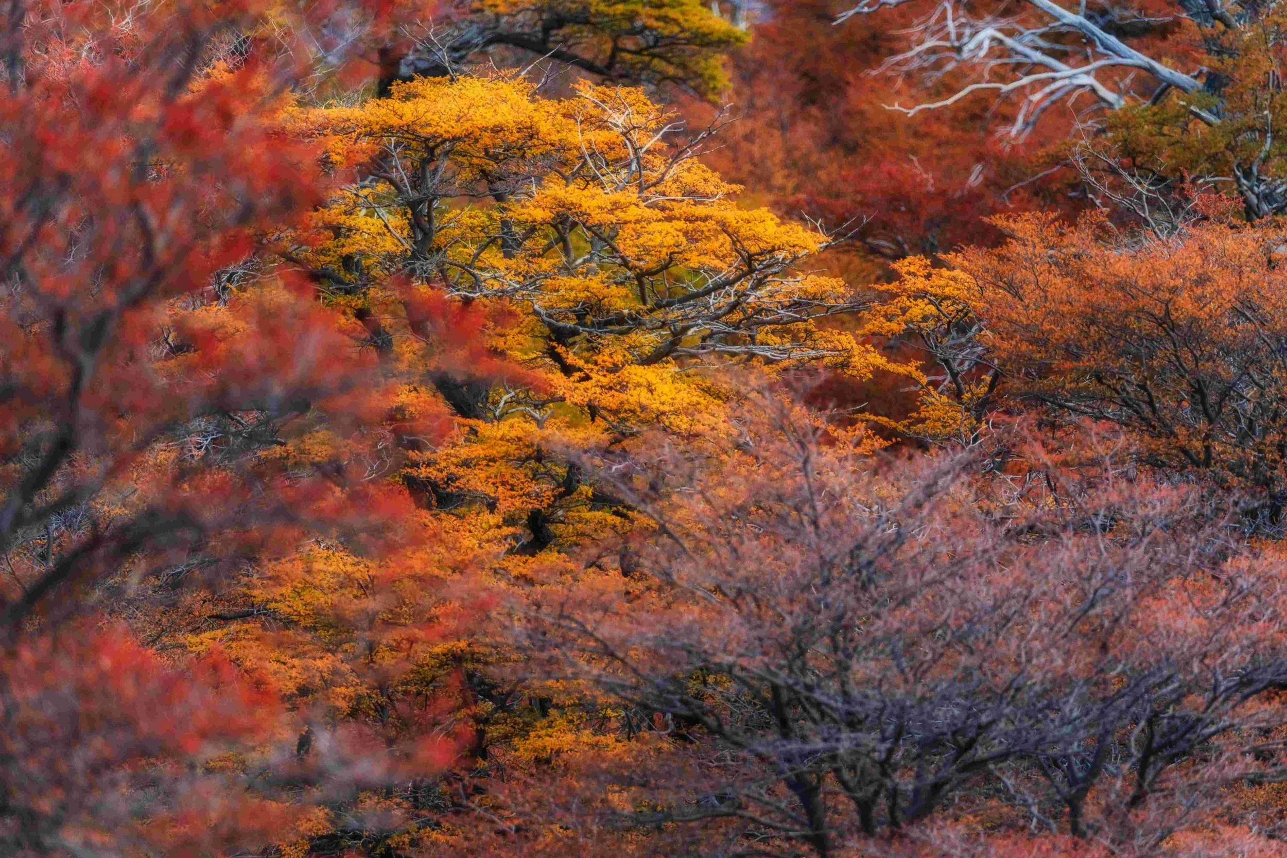 Photography workshop Patagonia Neil Arthurs