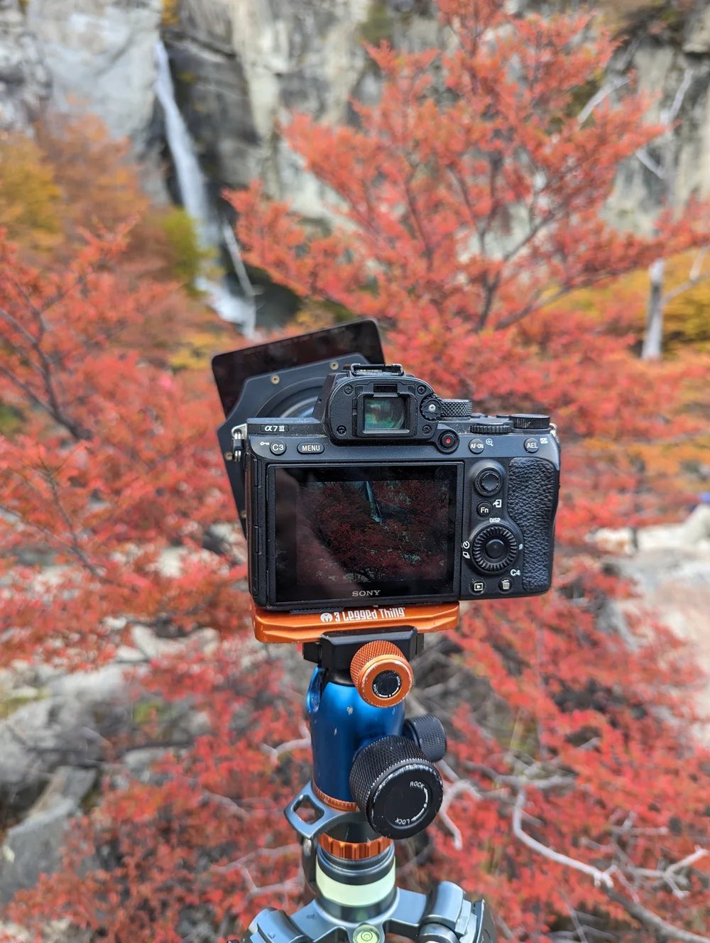 Beautiful fall Colour Sony A7iii Patagonia