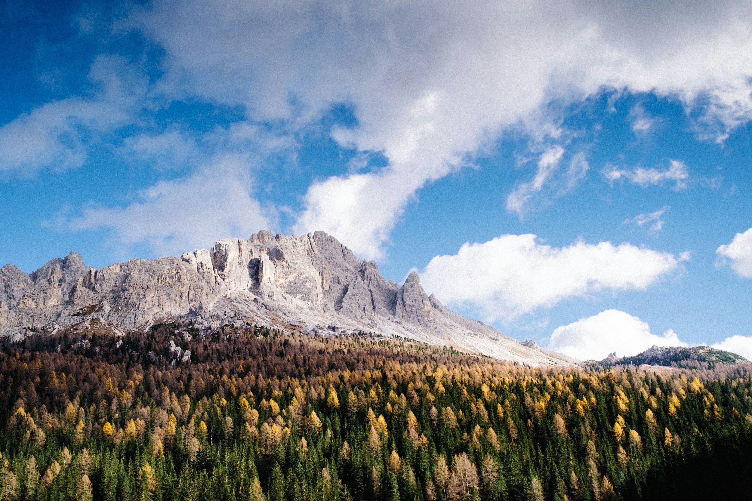 A mountain with a forest in front and a cloudy blue sky above
