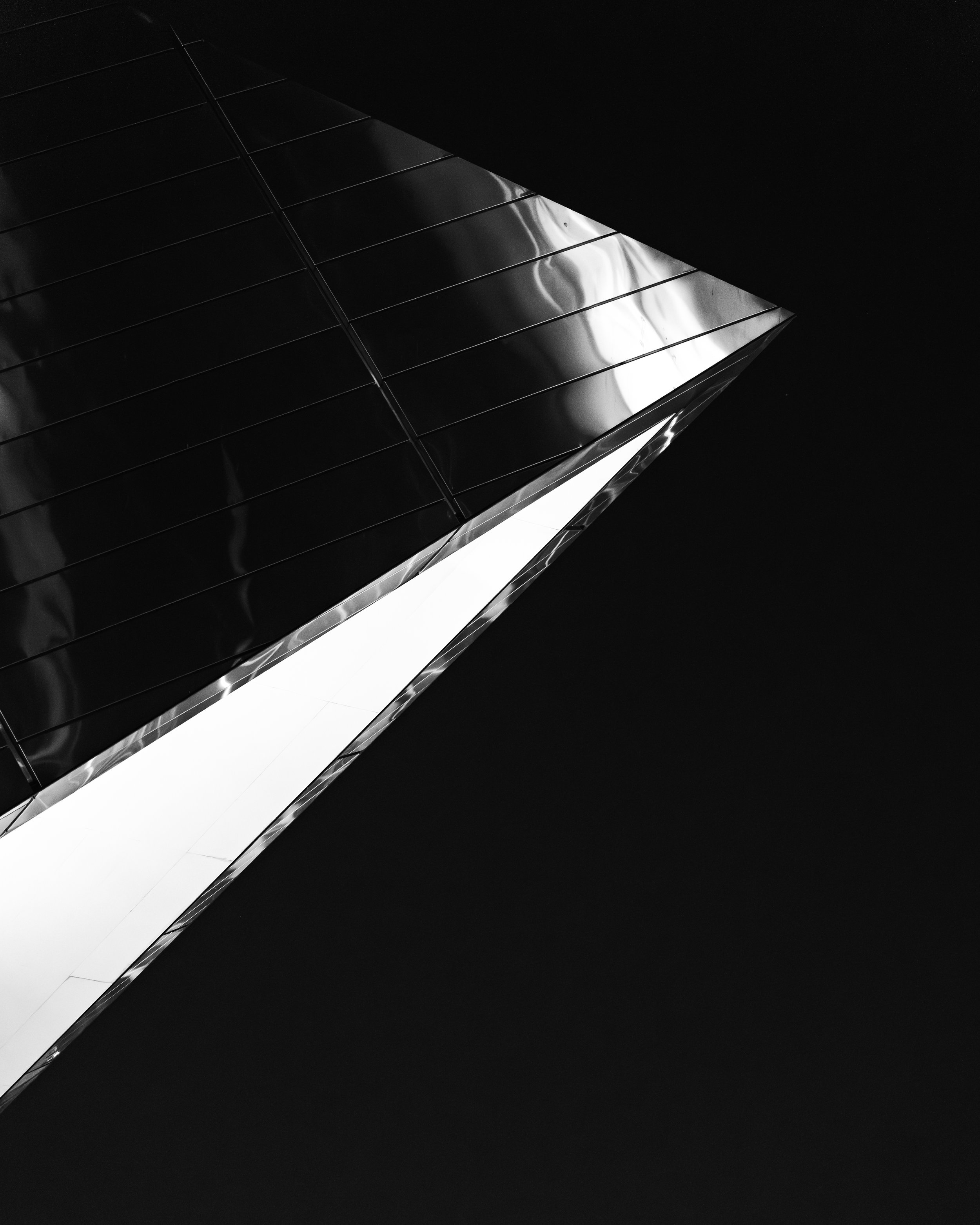 Is a Photography Workshop Worth It for Beginners?