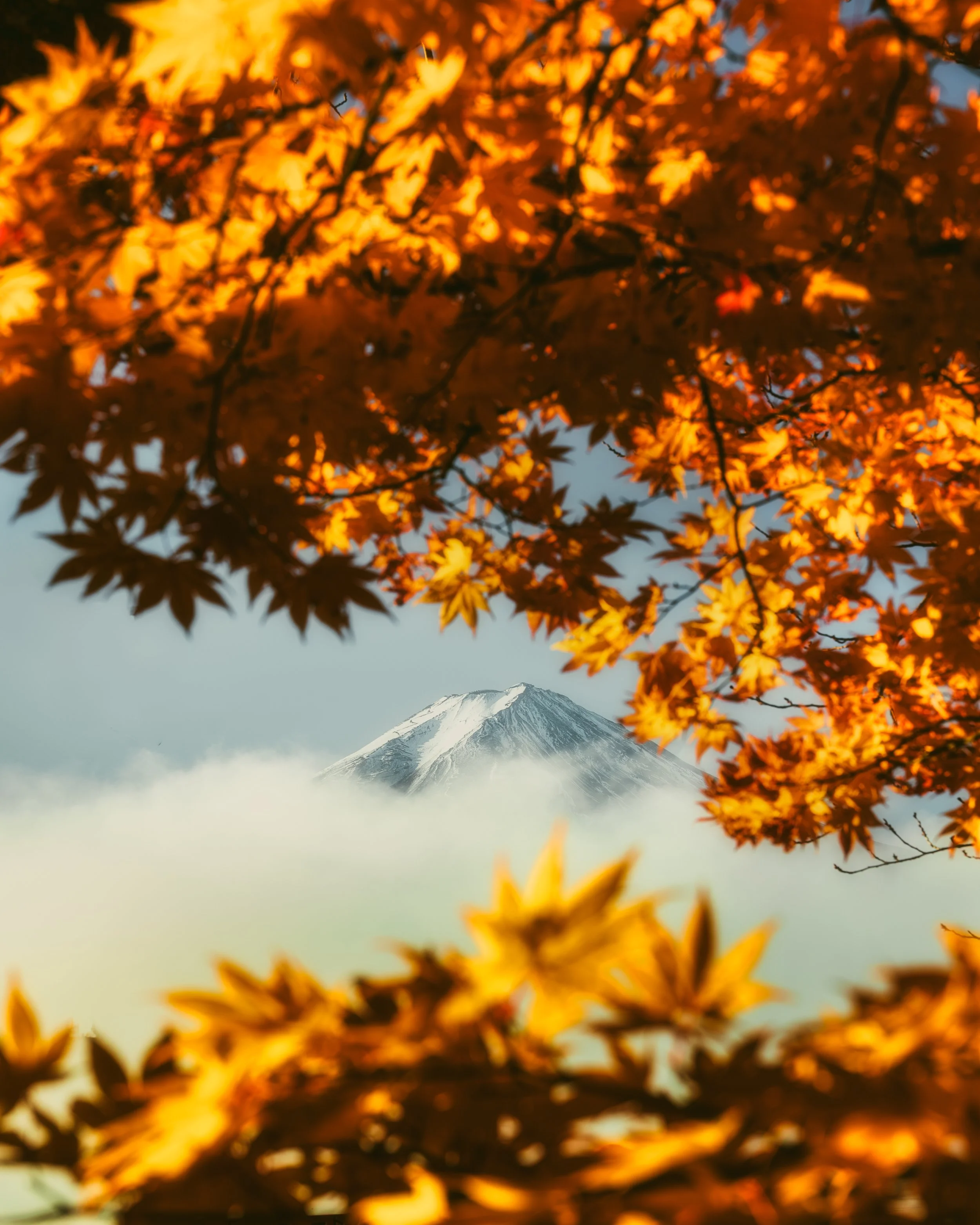 How to Choose the Right Landscape Photography Workshop for Your Skill Level