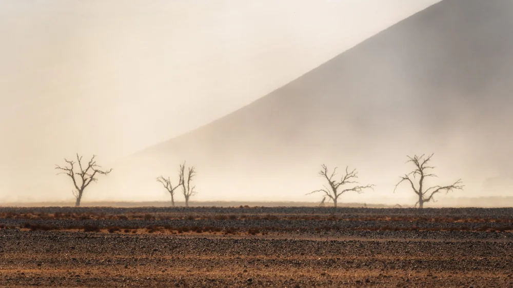 Namibia Photography Workshop