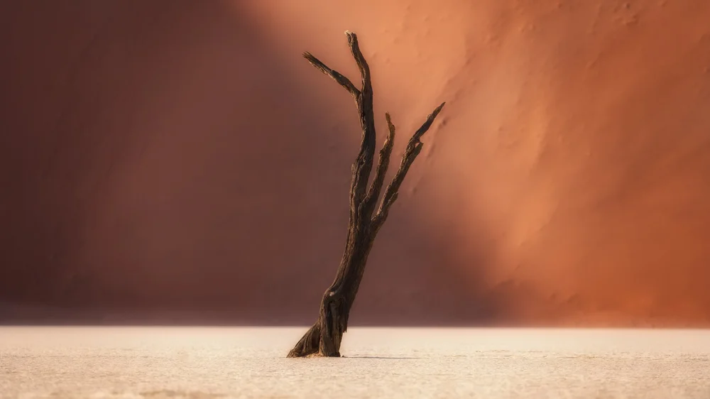 Namibia desert landscape