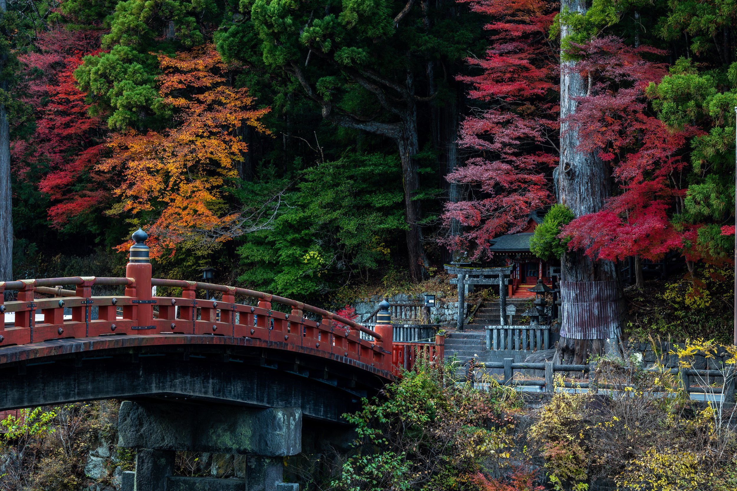 A scenic view of a red bridge over a gorge, surrounded by colorful autumn trees and a small traditional structure in the background.