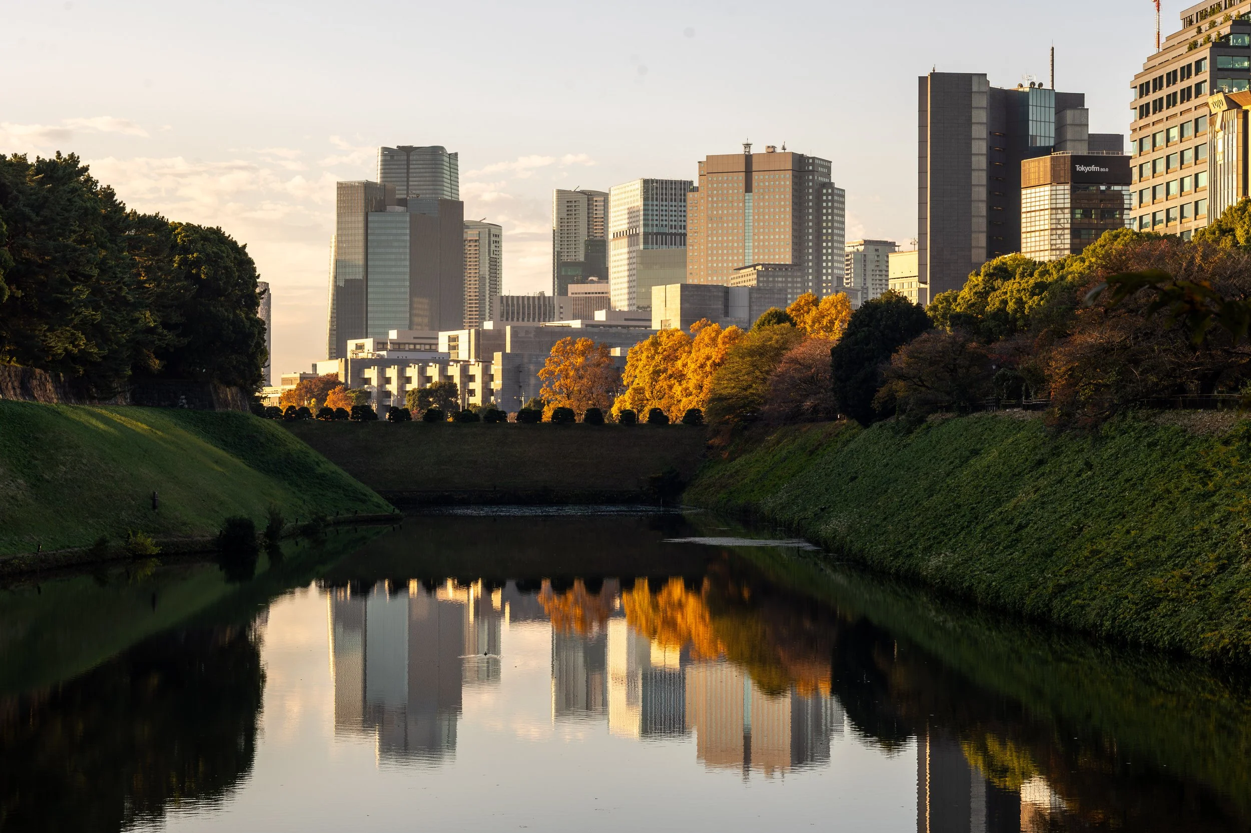 City skyline with tall buildings viewed across a river, with green grassy slopes and trees with autumn foliage on either side, and their reflections in the water.