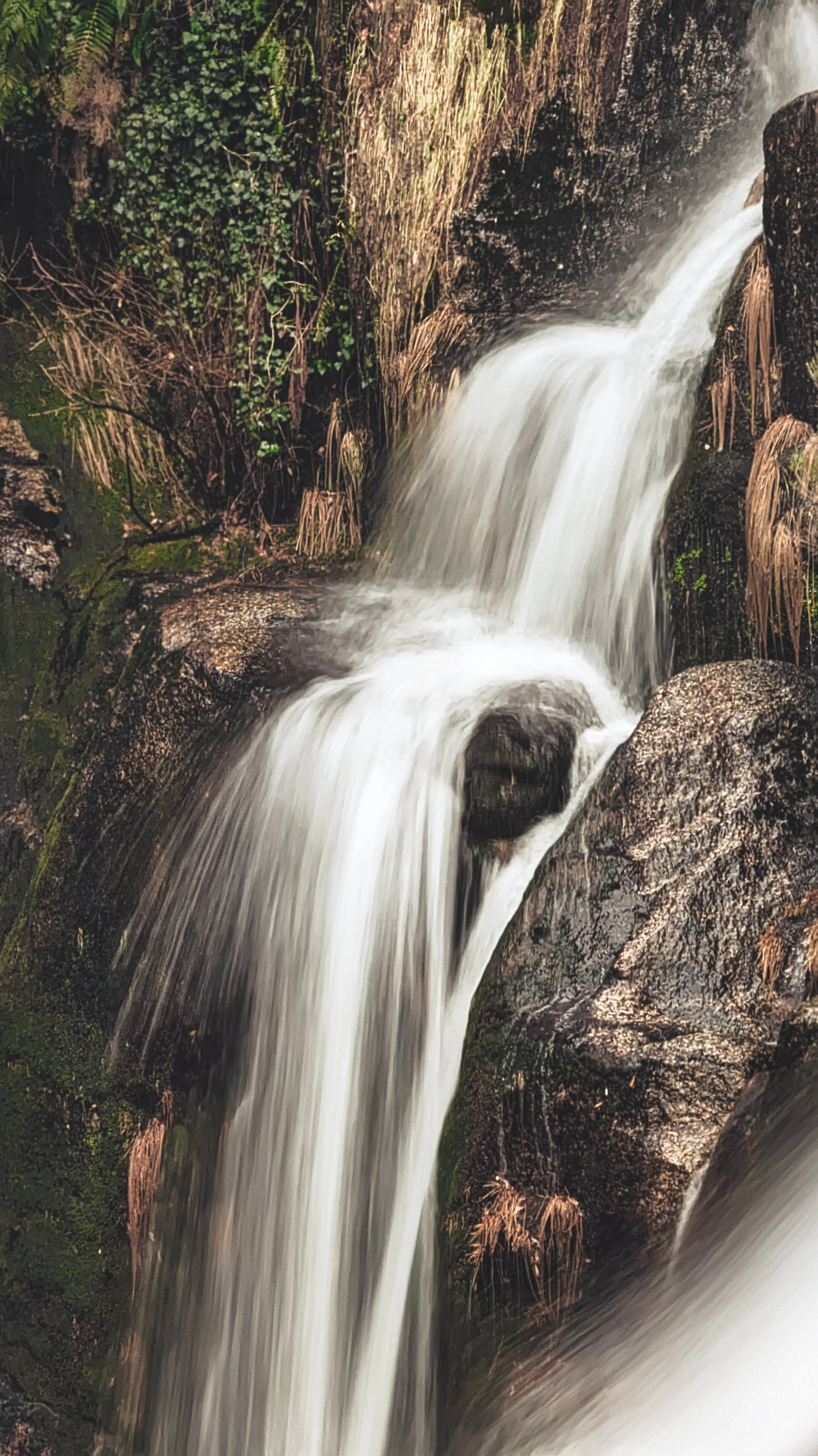 Flowing waterfall over rocks in a natural setting with moss and plants.