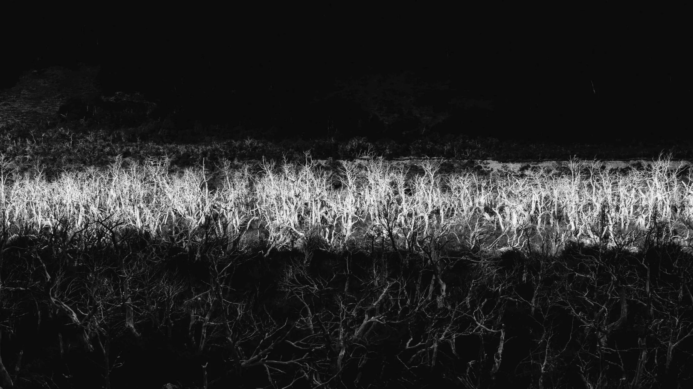 Black and white photography Patagonia