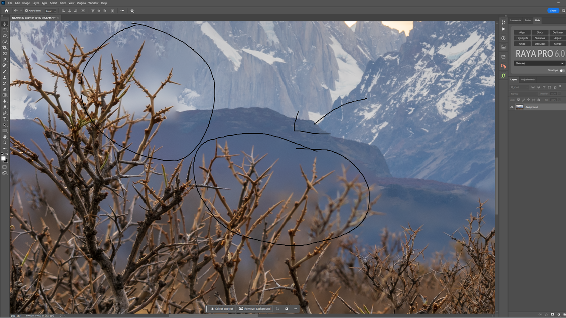 Photoshop Focus stack